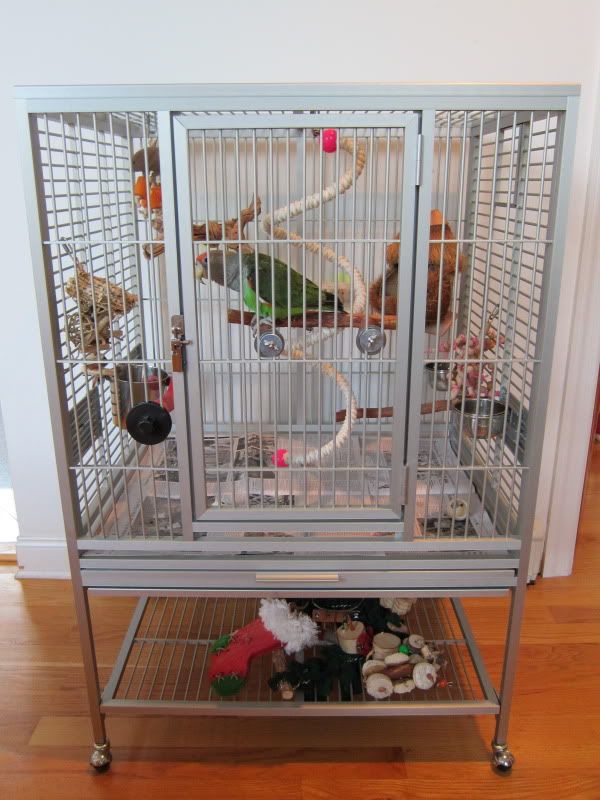 Updated Review King’s 33×25 Aluminum Cage Coco's Flock